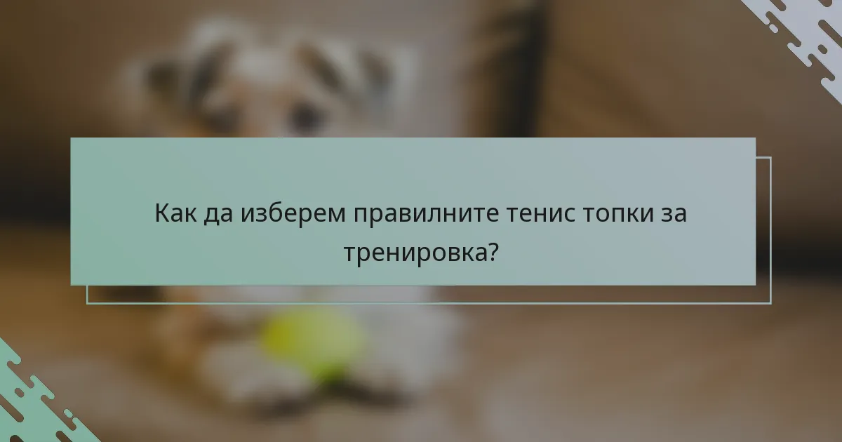 Как да изберем правилните тенис топки за тренировка?