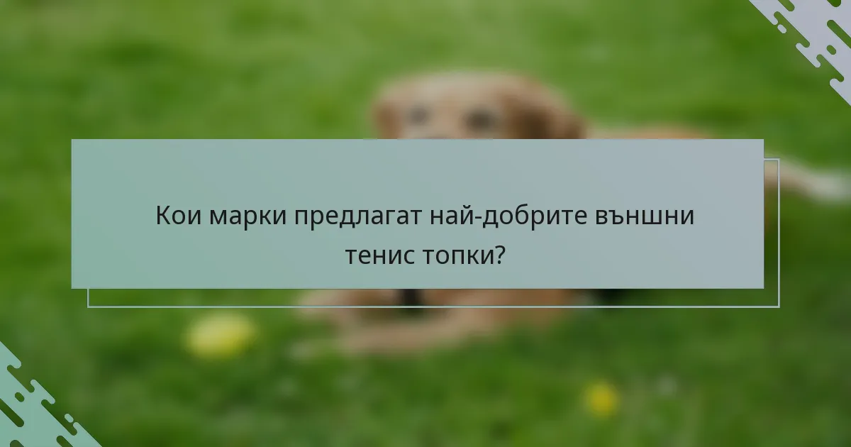 Кои марки предлагат най-добрите външни тенис топки?