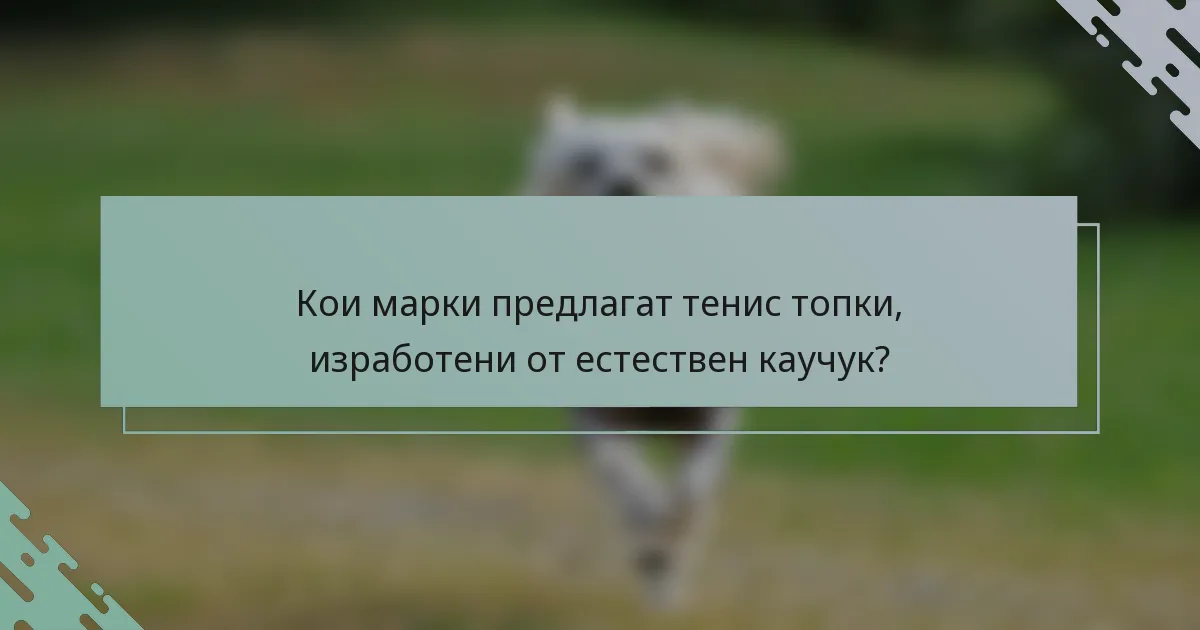 Кои марки предлагат тенис топки, изработени от естествен каучук?